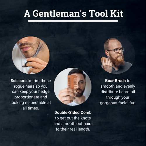 Beard Grooming Kit with Brush, Scissors, and Comb - Polished Gentleman