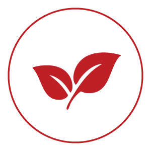 Quality Organic Ingredients