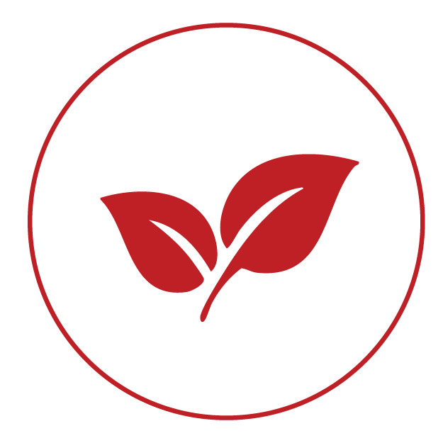 Quality Organic Ingredients